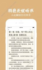 爱游戏app官网罗马赞助商